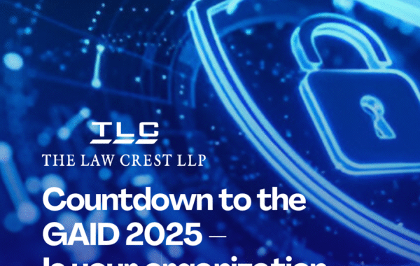 The General Application and Implementation Directive 2025